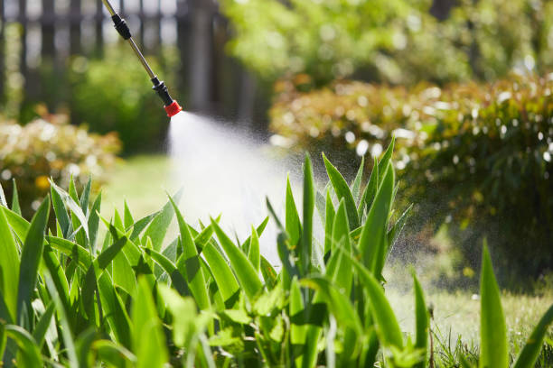 24/7 Emergency Cockroach Control experts in South Lebanon, OH
